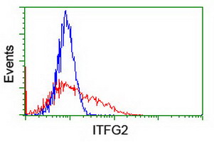 HEK293T cells transfected with either overexpress plasmid (Red) or empty vector control plasmid (Blue) were immunostained by anti-ITFG2 antibody, and then analyzed by flow cytometry.