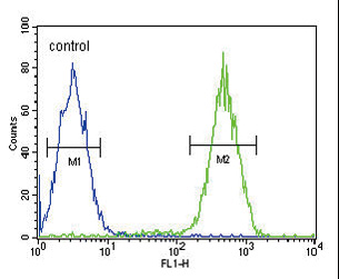 CD11b Antibody flow cytometry of Jurkat cells (right histogram) compared to a negative control cell (left histogram). FITC-conjugated goat-anti-rabbit secondary antibodies were used for the analysis.