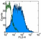 Staining of normal human peripheral blood cells with 0.06 ug of Purified Rat IgG2a isotype control (open histogram) or 0.06 ug of Purified anti-mouse/human integrin beta7 (FIB504) (colored histogram) followed by PE Anti-Rat IgG (LS-C106534). Cells in the lymphocyte gate were used for analysis.