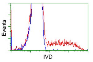 HEK293T cells transfected with either overexpress plasmid (Red) or empty vector control plasmid (Blue) were immunostained by anti-IVD antibody, and then analyzed by flow cytometry.
