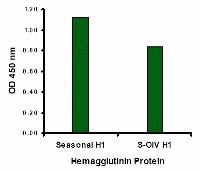 Seasonal Influenza A Hemagglutinin antibody (2 ug/ml) recognizes seasonal influenza A (H1N1), and to a lesser extent swine-origin influenza A (S-OIV, H1N1), Hemagglutinin protein in ELISA. Below: ELISA results using Seasonal H1N1 Hemagglutinin antibody at 1 ug/ml and the blocking and corresponding peptides at 50, 10, 2 and 0 ng/ml.