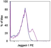 Flo Staining of CD8+CD11c+ C57Bl/6 splenocytes with 0.5 ug of PE Armenian Hamster IgG isotype control (blue histogram) or 0.5 ug of PE anti-mouse Jagged-1 (purple histogram). Total viable cells were used for analysis.