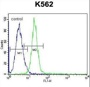 JAG1 Antibody flow cytometry of K562 cells (right histogram) compared to a negative control cell (left histogram). FITC-conjugated goat-anti-rabbit secondary antibodies were used for the analysis.