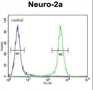 JOSD2 Antibody flow cytometry of Neuro-2a cells (right histogram) compared to a negative control cell (left histogram). FITC-conjugated goat-anti-rabbit secondary antibodies were used for the analysis.