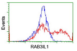 HEK293T cells transfected with either overexpress plasmid (Red) or empty vector control plasmid (Blue) were immunostained by anti-RAB3IL1 antibody, and then analyzed by flow cytometry.
