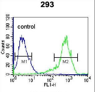 KARS Antibody flow cytometry of 293 cells (right histogram) compared to a negative control cell (left histogram). FITC-conjugated goat-anti-rabbit secondary antibodies were used for the analysis.
