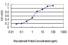 Detection limit for recombinant GST tagged GRAP2 is approximately 0.03 ng/ml as a capture antibody.