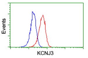 Flow cytometry of Jurkat cells, using anti-KCNJ3 antibody (Red), compared to a nonspecific negative control antibody (Blue).