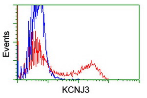 HEK293T cells transfected with either overexpress plasmid (Red) or empty vector control plasmid (Blue) were immunostained by anti-KCNJ3 antibody, and then analyzed by flow cytometry.