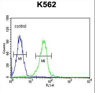 KCNJ6 Antibody flow cytometry of K562 cells (right histogram) compared to a negative control cell (left histogram). FITC-conjugated goat-anti-rabbit secondary antibodies were used for the analysis.
