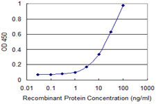 Detection limit for recombinant GST tagged KCNMB3 is 1 ng/ml as a capture antibody.