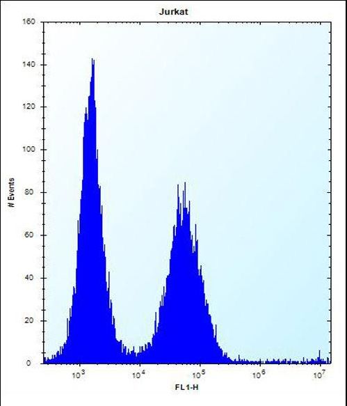 KCTD10 Antibody flow cytometry of Jurkat cells (right histogram) compared to a negative control cell (left histogram). FITC-conjugated donkey-anti-rabbit secondary antibodies were used for the analysis.