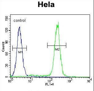 JHDM2b Antibody flow cytometry of HeLa cells (right histogram) compared to a negative control cell (left histogram). FITC-conjugated goat-anti-rabbit secondary antibodies were used for the analysis.