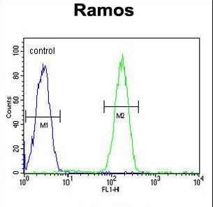 JHDM2b Antibody flow cytometry of Ramos cells (right histogram) compared to a negative control cell (left histogram). FITC-conjugated goat-anti-rabbit secondary antibodies were used for the analysis.