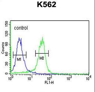 JMJD2B Antibody flow cytometry of K562 cells (right histogram) compared to a negative control cell (left histogram). FITC-conjugated goat-anti-rabbit secondary antibodies were used for the analysis.