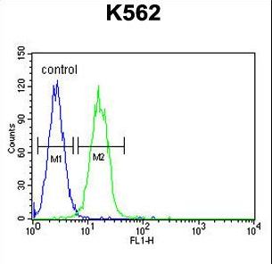 JMJD2C Antibody flow cytometry of K562 cells (right histogram) compared to a negative control cell (left histogram). FITC-conjugated goat-anti-rabbit secondary antibodies were used for the analysis.