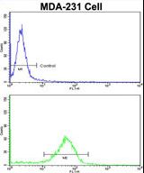 Flow cytometric of MDA-231 cells using BARON Antibody (bottom histogram) compared to a negative control cell (top histogram). FITC-conjugated goat-anti-rabbit secondary antibodies were used for the analysis.