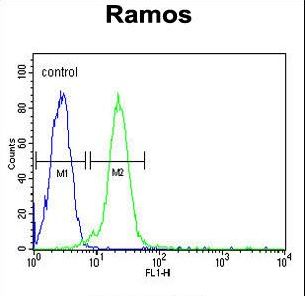 C13orf18 Antibody flow cytometry of Ramos cells (right histogram) compared to a negative control cell (left histogram). FITC-conjugated goat-anti-rabbit secondary antibodies were used for the analysis.