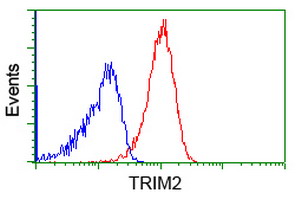 Flow cytometry of Jurkat cells, using anti-TRIM2 antibody (Red), compared to a nonspecific negative control antibody (Blue).