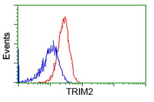 Flow cytometry of HeLa cells, using anti-TRIM2 antibody (Red), compared to a nonspecific negative control antibody (Blue).