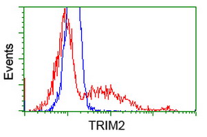 HEK293T cells transfected with either overexpress plasmid (Red) or empty vector control plasmid (Blue) were immunostained by anti-TRIM2 antibody, and then analyzed by flow cytometry.