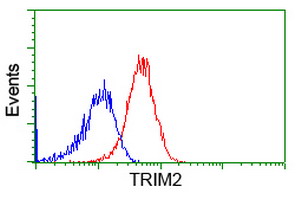 Flow cytometry of HeLa cells, using anti-TRIM2 antibody (Red), compared to a nonspecific negative control antibody (Blue).