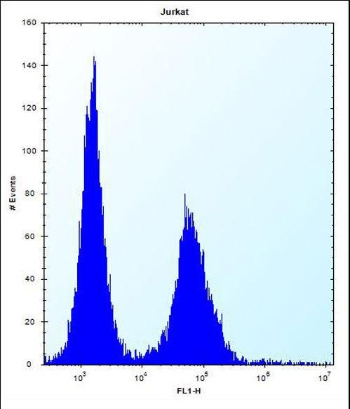DNAJC9 Antibody flow cytometry of Jurkat cells (right histogram) compared to a negative control cell (left histogram). FITC-conjugated donkey-anti-rabbit secondary antibodies were used for the analysis.