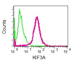 Flow cytometry of permeabilized SH-SY5Y cells using anti-KIF3A antibody (red)or a rabbit IgG (negative) (green).