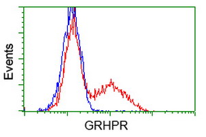 HEK293T cells transfected with either overexpress plasmid (Red) or empty vector control plasmid (Blue) were immunostained by anti-GRHPR antibody, and then analyzed by flow cytometry.