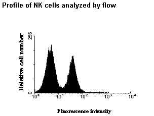 Profile of NK cells analyzed by flow cytometry.