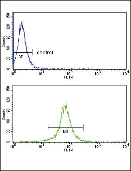 KIR2DL4 Antibody flow cytometry of MDA-MB231 cells (bottom histogram) compared to a negative control cell (top histogram). FITC-conjugated goat-anti-rabbit secondary antibodies were used for the analysis.