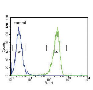KIR2DS2 Antibody flow cytometry of A2058 cells (right histogram) compared to a negative control cell (left histogram). FITC-conjugated goat-anti-rabbit secondary antibodies were used for the analysis.