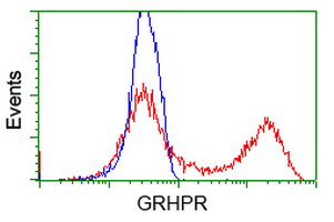 HEK293T cells transfected with either overexpress plasmid (Red) or empty vector control plasmid (Blue) were immunostained by anti-GRHPR antibody, and then analyzed by flow cytometry.