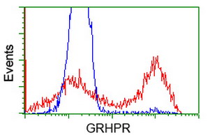 HEK293T cells transfected with either overexpress plasmid (Red) or empty vector control plasmid (Blue) were immunostained by anti-GRHPR antibody, and then analyzed by flow cytometry.
