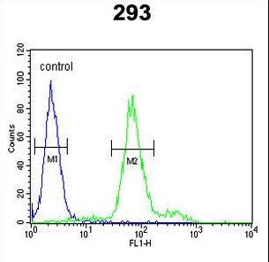 KLF16 Antibody flow cytometry of 293 cells (right histogram) compared to a negative control cell (left histogram). FITC-conjugated goat-anti-rabbit secondary antibodies were used for the analysis.
