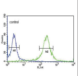 KLF5 Antibody flow cytometry of HeLa cells (right histogram) compared to a negative control cell (left histogram). FITC-conjugated goat-anti-rabbit secondary antibodies were used for the analysis.