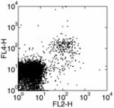 Two-color surface staining of mouse splenocytes with anti-mouse NKG2D (CX5) PE and anti-mouse NK-1.1 (PK136) APC. Total viable cells were used for analysis.