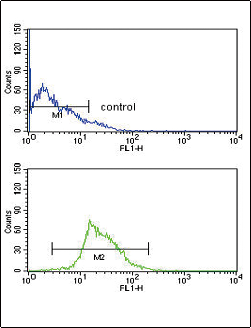 KMO Antibody flow cytometry of CEM cells (bottom histogram) compared to a negative control cell (top histogram). FITC-conjugated goat-anti-rabbit secondary antibodies were used for the analysis.