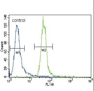 HRX Antibody flow cytometry of CEM cells (right histogram) compared to a negative control cell (left histogram). FITC-conjugated goat-anti-rabbit secondary antibodies were used for the analysis.