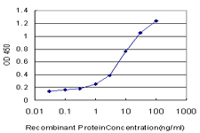 Detection limit for recombinant GST tagged LMTK2 is approximately 0.1 ng/ml as a capture antibody.