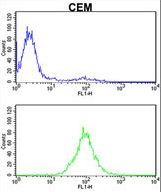 KPNB1 Antibody flow cytometry of CEM cells (bottom histogram) compared to a negative control cell (top histogram). FITC-conjugated goat-anti-rabbit secondary antibodies were used for the analysis.