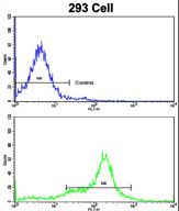 Flow cytometric of 293 cells using KRT10 Antibody (bottom histogram) compared to a negative control cell (top histogram). FITC-conjugated goat-anti-rabbit secondary antibodies were used for the analysis.