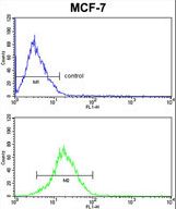 KRT13 Antibody FC of MCF-7 cells (bottom histogram) compared to a negative control cell (top histogram). FITC-conjugated goat-anti-rabbit secondary antibodies were used for the analysis.