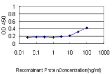 Detection limit for recombinant GST tagged KRTHA3B is approximately 0.03 ng/ml as a capture antibody.