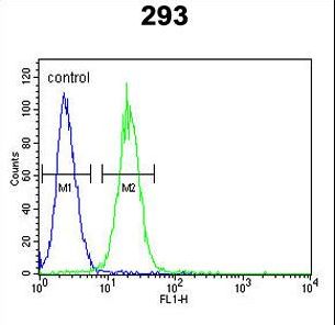 KCNQ1 Antibody flow cytometry of 293 cells (right histogram) compared to a negative control cell (left histogram). FITC-conjugated goat-anti-rabbit secondary antibodies were used for the analysis.