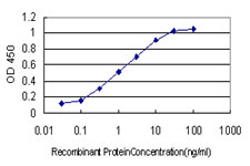 Detection limit for recombinant GST tagged LAMB3 is approximately 0.03 ng/ml as a capture antibody.