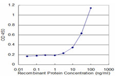 Detection limit for recombinant GST tagged LCN1 is approximately 3 ng/ml as a capture antibody.