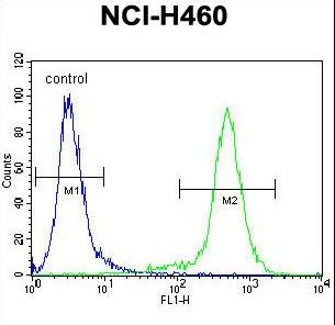 LCN9 Antibody flow cytometry of NCI-H460 cells (right histogram) compared to a negative control cell (left histogram). FITC-conjugated goat-anti-rabbit secondary antibodies were used for the analysis.