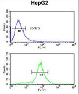 LDHD Antibody flow cytometry of HepG2 cells (bottom histogram) compared to a negative control cell (top histogram). FITC-conjugated goat-anti-rabbit secondary antibodies were used for the analysis.