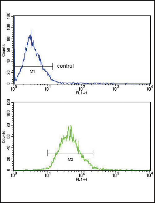 LDLR Antibody FC of MCF-7 cells (bottom histogram) compared to a negative control cell (top histogram). FITC-conjugated goat-anti-rabbit secondary antibodies were used for the analysis.